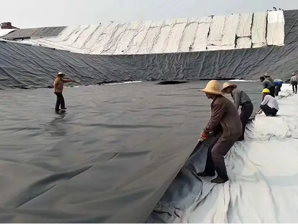 Längen Anforderung des Kunden Geomembran aus HDPE Wasserdicht für Fischfarmen 6