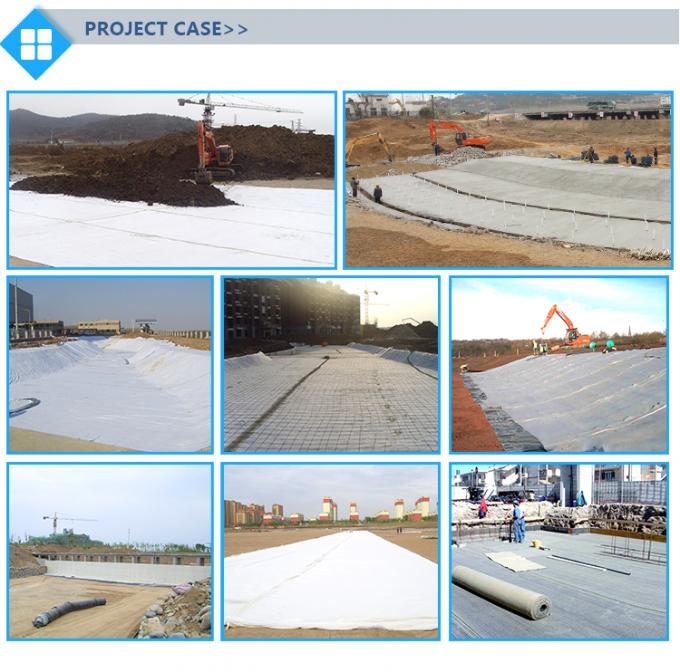 Bentonit Geotextil für Teichfolien Natürliches Natrium Bentonit Geosynthetische Tonfolien 18